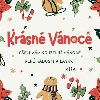 Krásné Vánoce. ❤️ #siti #latky #metraz #latkykracikova #latkykracikovacz #jednolic #bio #kracikova #sijemedetem #zbytky...